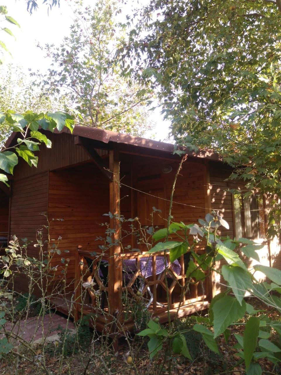 Fire Pansiyon Cirali Exterior photo